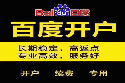 SEM竞价代运营公司成功案例解析
